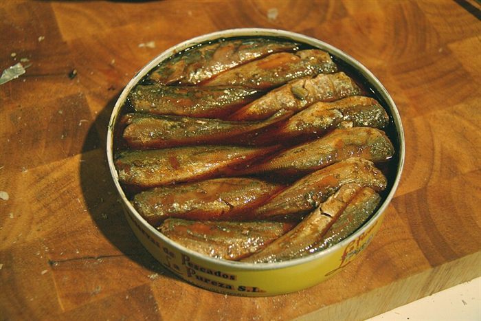 سردين معلب